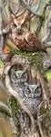 MARCAPAGINAS 3D OWLS (ROYCE)