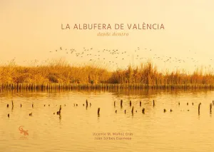 ALBUFERA DE VALENCIA DESDE DENTRO, LA
