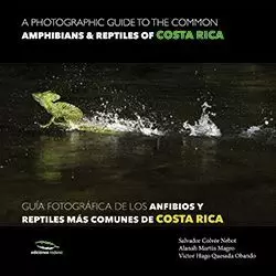 A PHOTOGRAPHIC GUIDE OF THE COMMON AMMPHIBIANS & REPTILES OF COSTA ROCA / GUÍA F