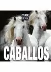 CABALLOS CUBE BOOK